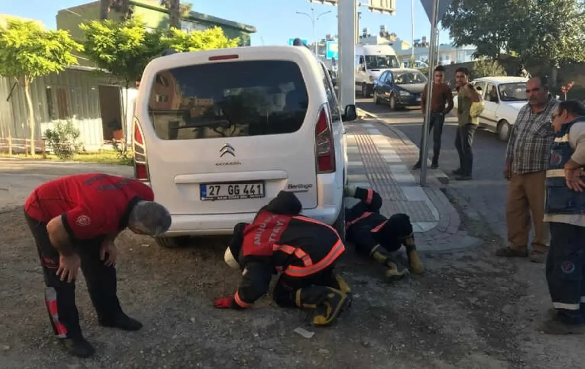 Kedinin Girdiği Araç Oto Sanayiye Götürüldü