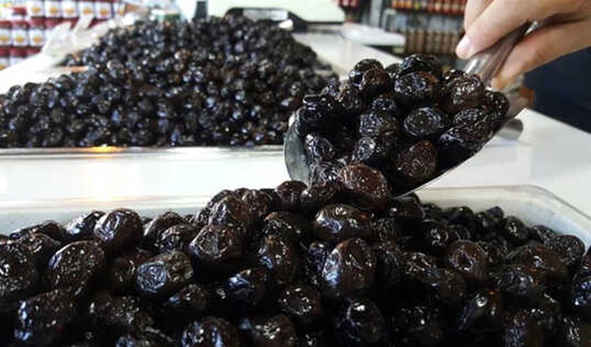 Marmarabirlik Zeytin Alımında Rekor Kıracak