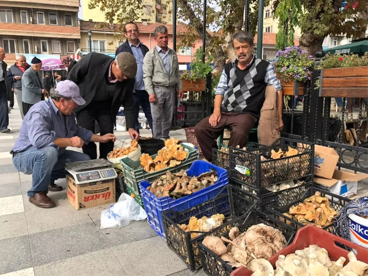 Melki Sındırgılıların Geçim Kaynağı Oldu