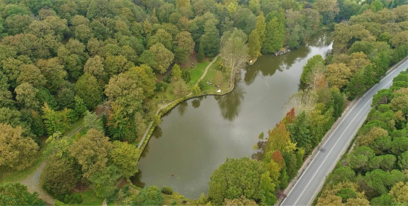 Sonbaharın Renklerine Bürünen Atatürk Arboretumu Havadan Görüntülendi