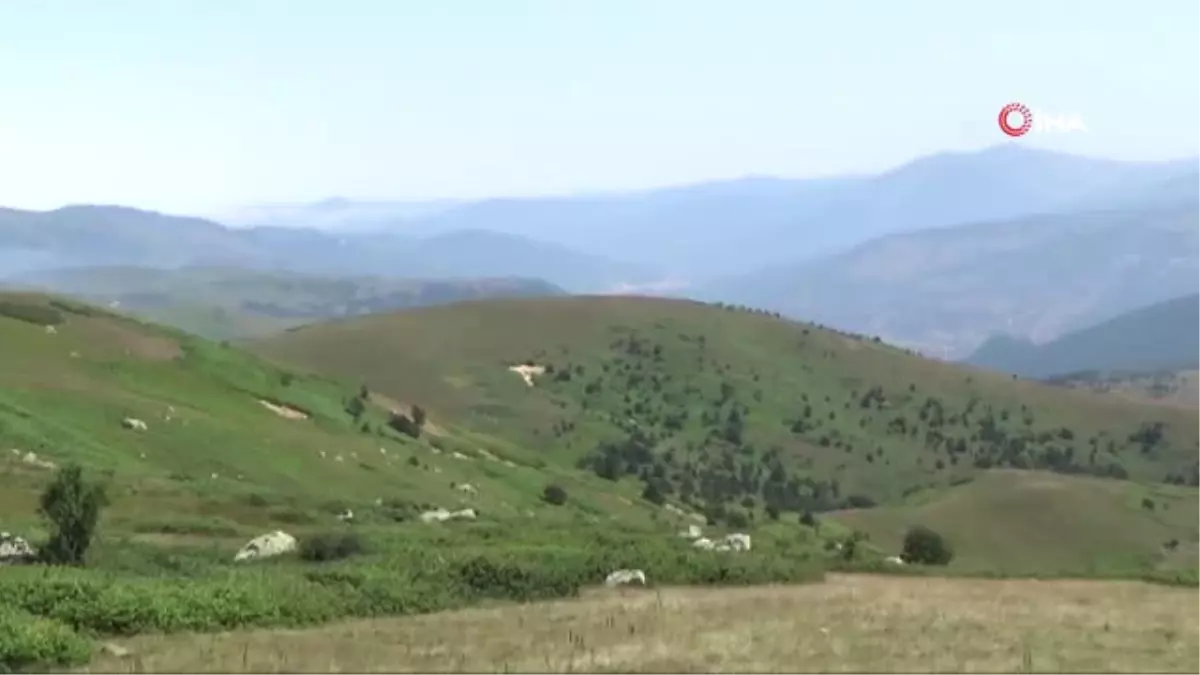 PKK Karadeniz\'de Kış Üstlenmesi Yapamadı