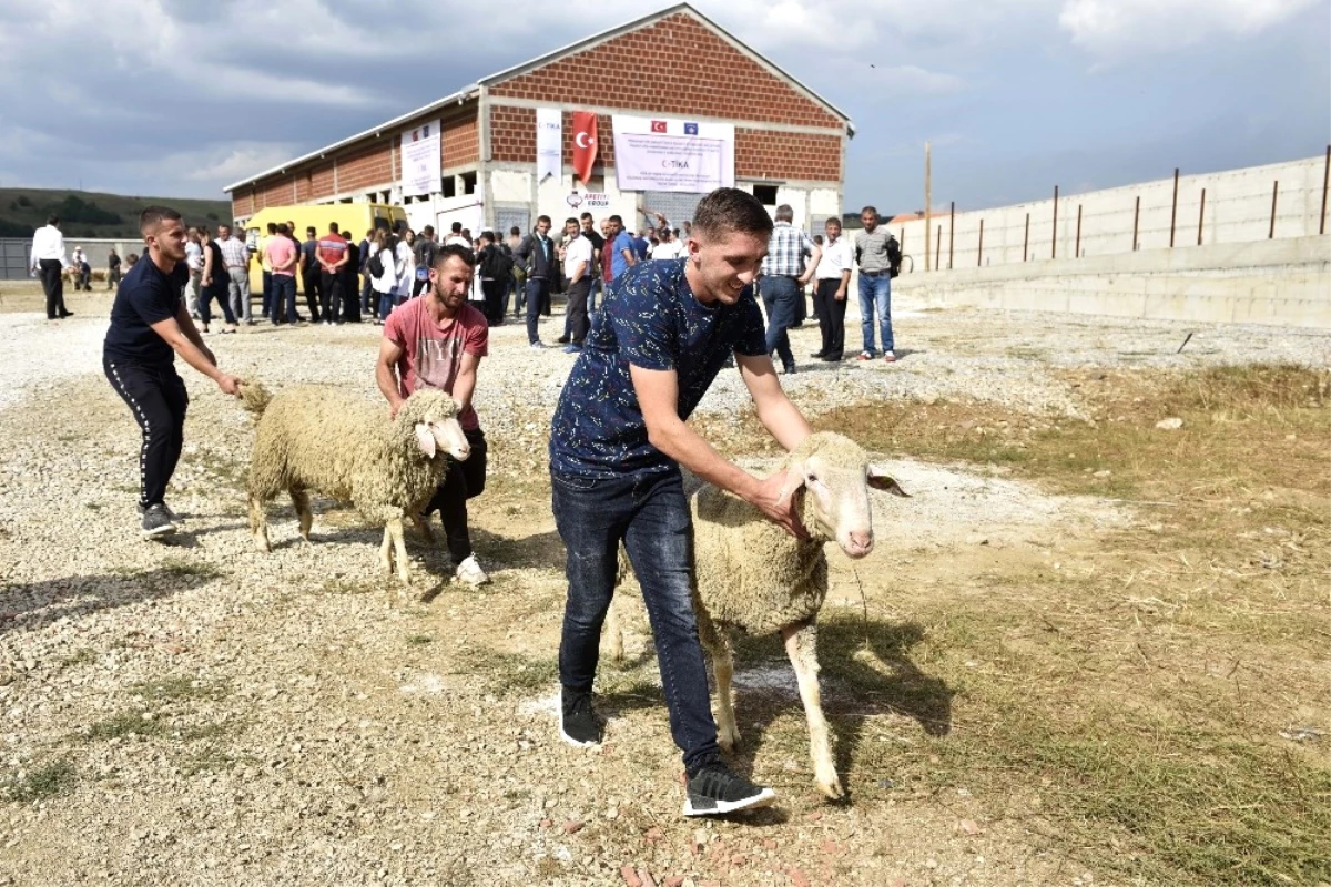 Tika\'dan Kosovalı Çiftçilere Destek