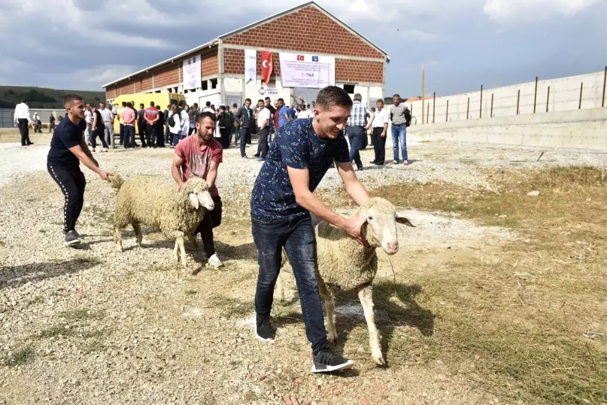 Tika\'dan Kosovalı Çiftçilere Destek