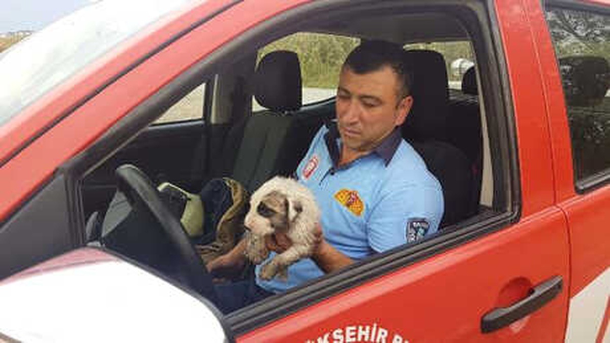 Alevlerin Arasında Kalan Yavru Köpeği İtfaiye Kurtardı