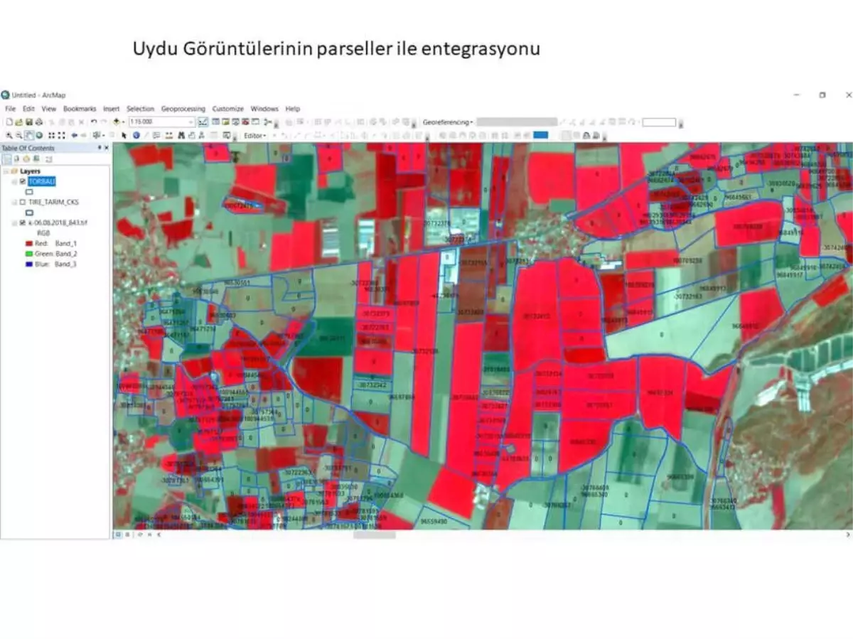 Ege\'de Tarım Ürünlerini Uydulardan İzleme Yazılımı Geliştirildi