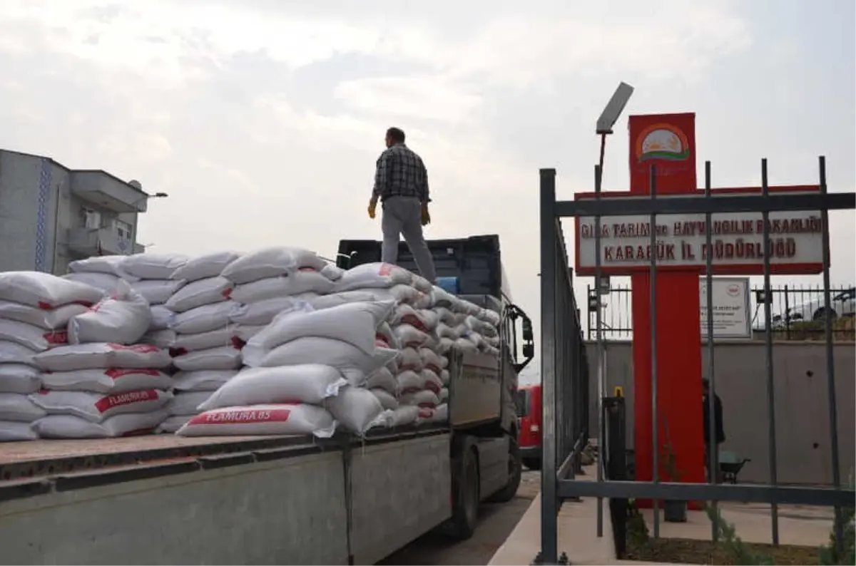 Karabük\'te Çiftçilere Buğday Tohumu Dağıtımı Devam Ediyor