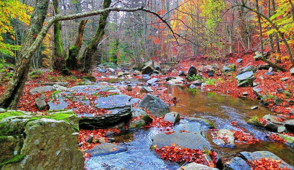 Kazdağları\'nın Sonbahar Renkleri Büyülüyor
