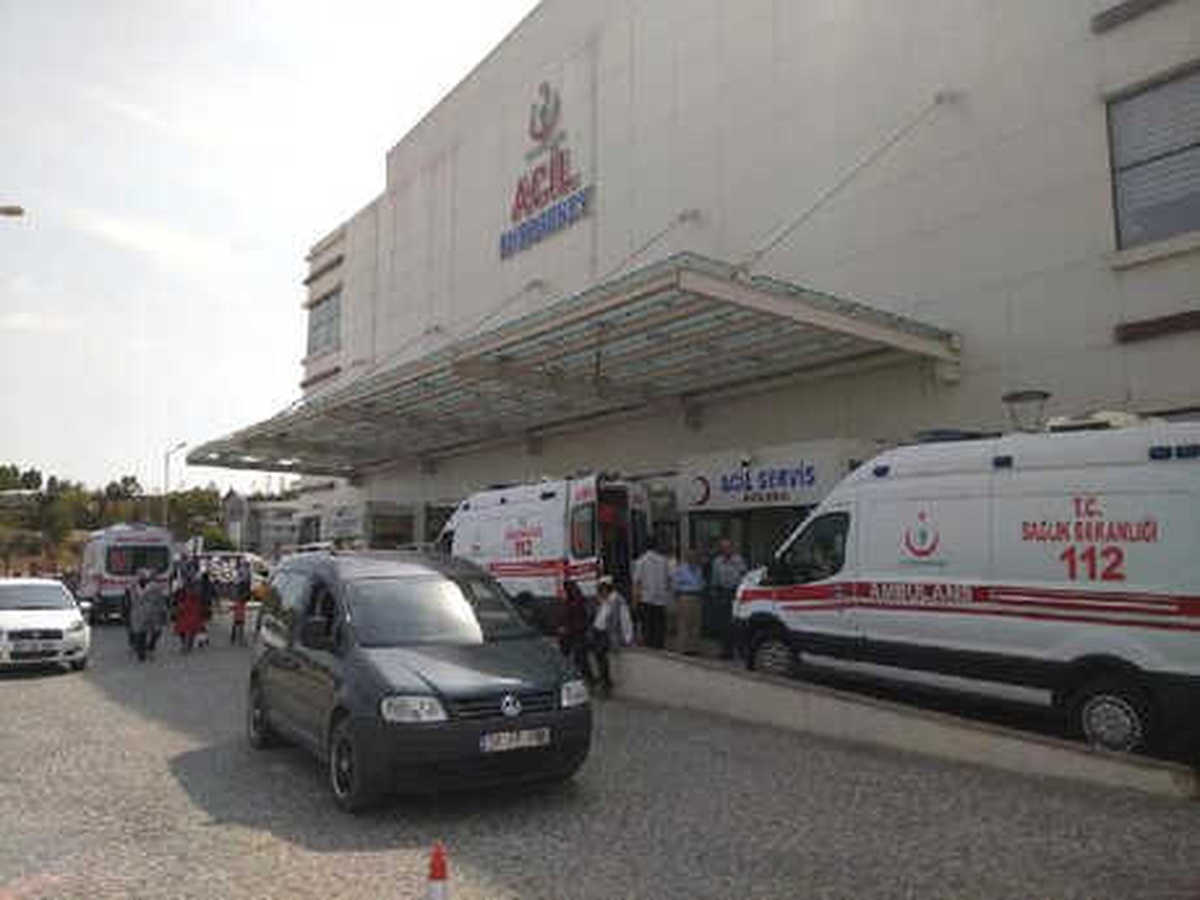 Mantar Toplarken Ayı Saldıran Köylü Yaralandı