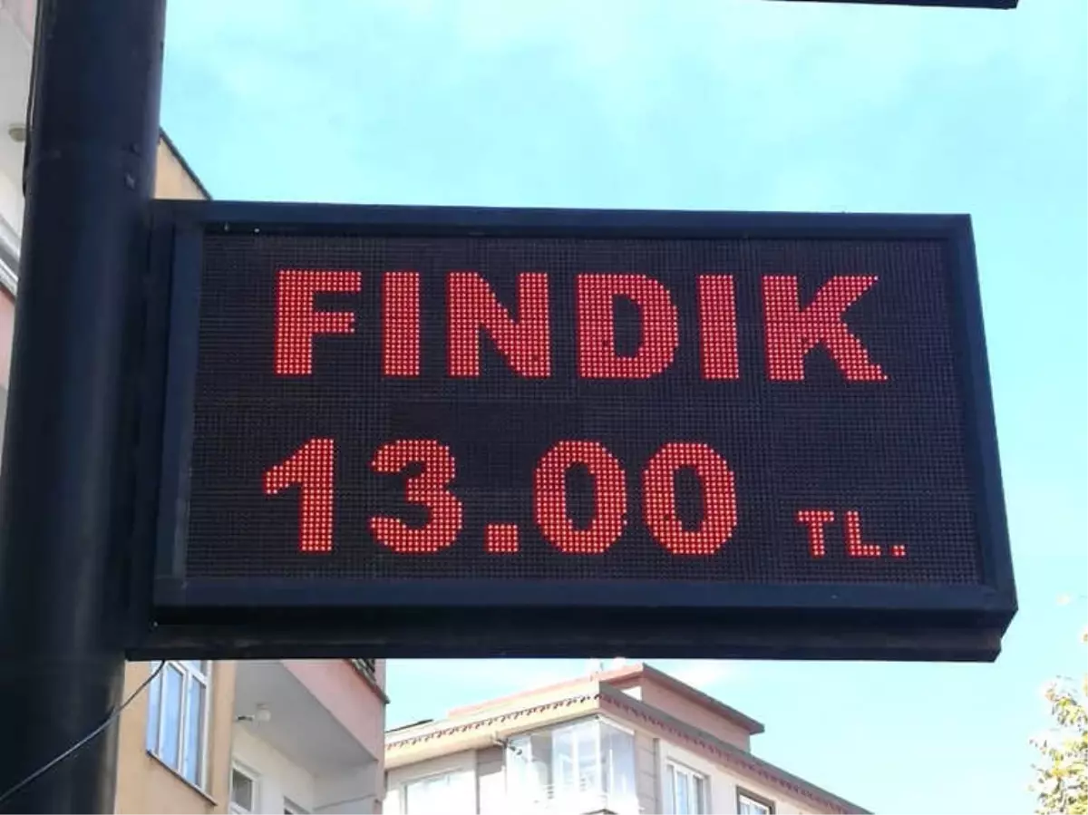 Serbest Piyasada Fındık Yükselişe Geçti