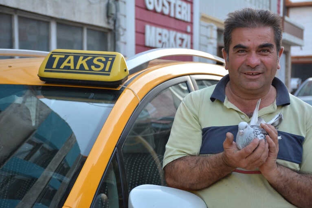 Taksi Durağında Güvercin Besliyor