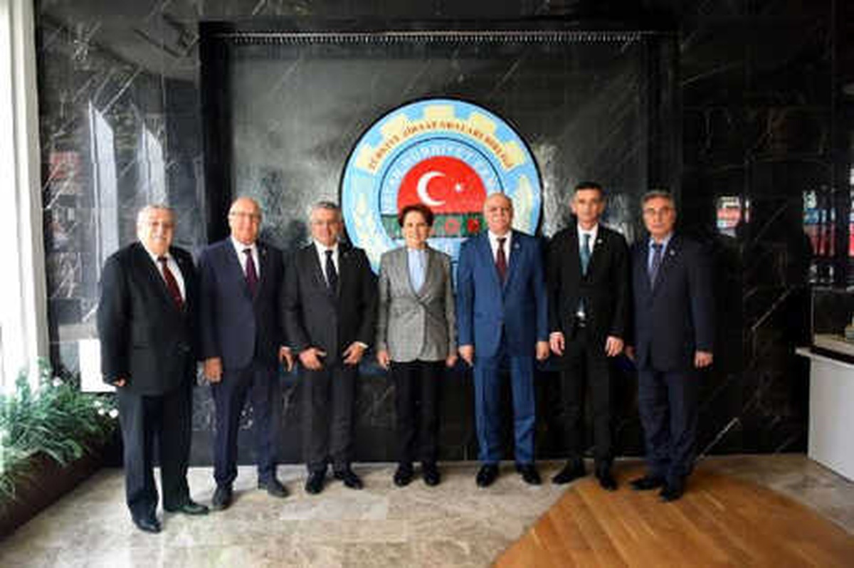 Akşener: O Rektör Keşke Görevden Alınsaydı