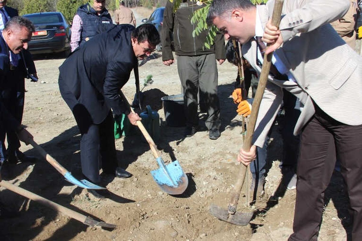 Hükümlüler Erzincan\'da Fidan Dikti