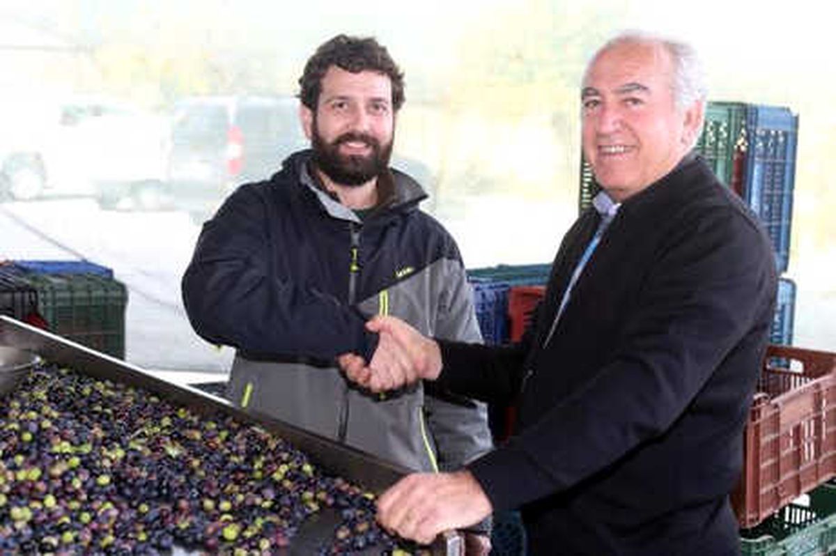 Kaliteli Zeytinyağı Elde Etmek İçin 500 Kilometre Yol Geldi
