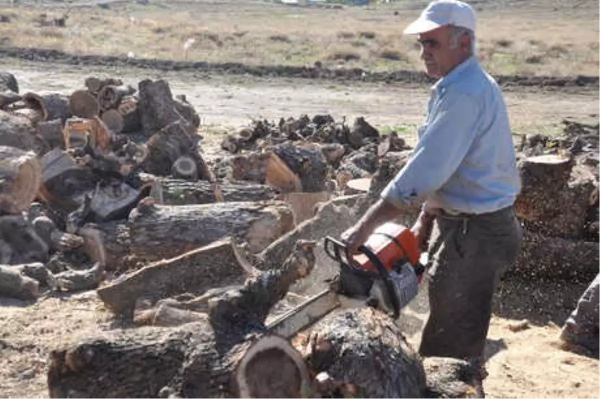 Kömür Fiyatlarındaki Artış, Odunculara Yaradı