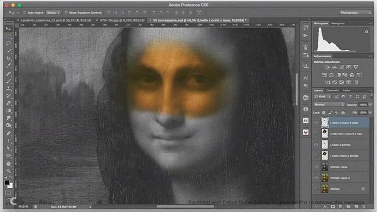 Mona Lisa Kadın mı Erkek Mi?