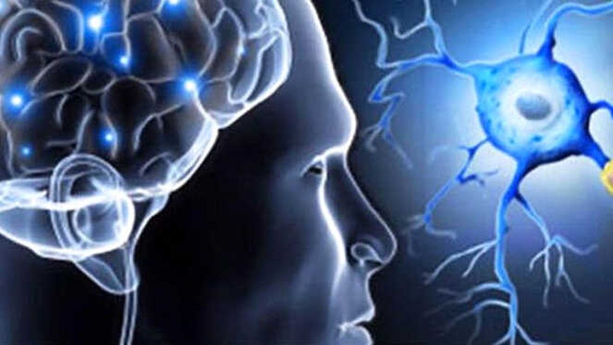 MS, Kaderiniz Olmasın!