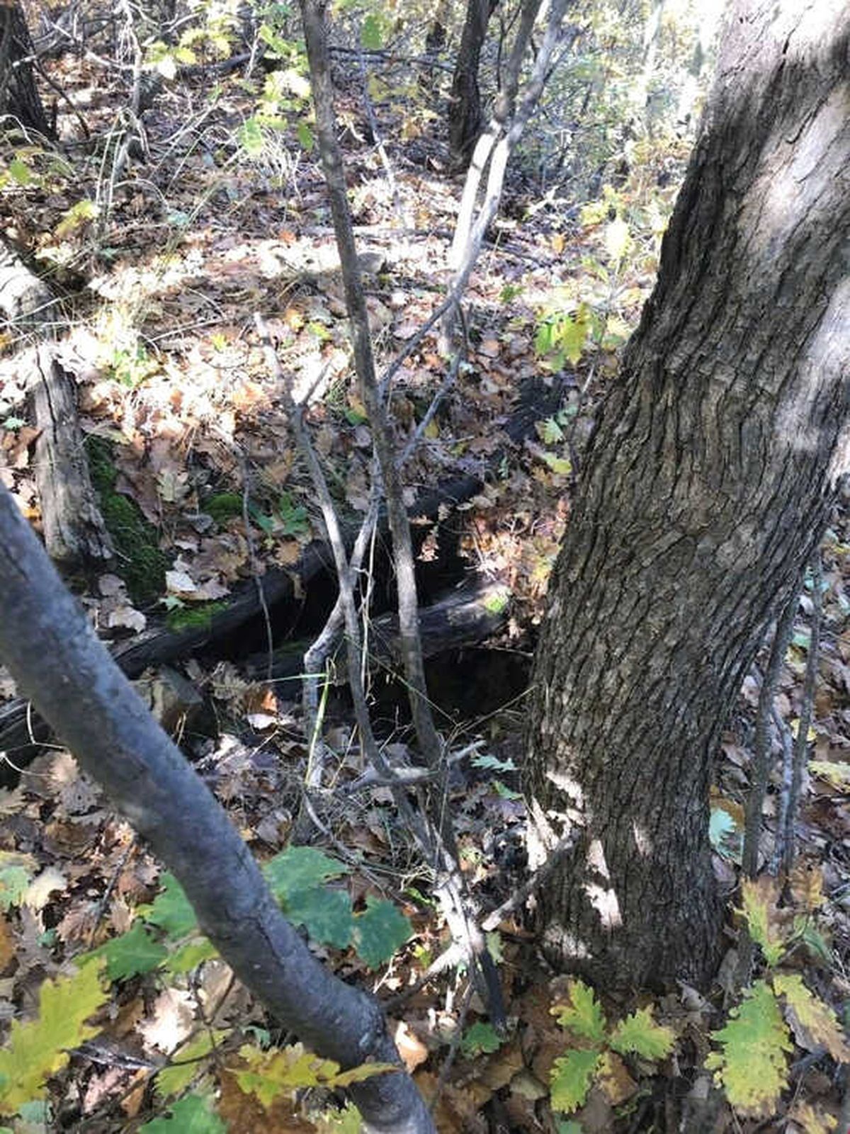 Şenyayla\'da Teröristlere Ağır Darbe