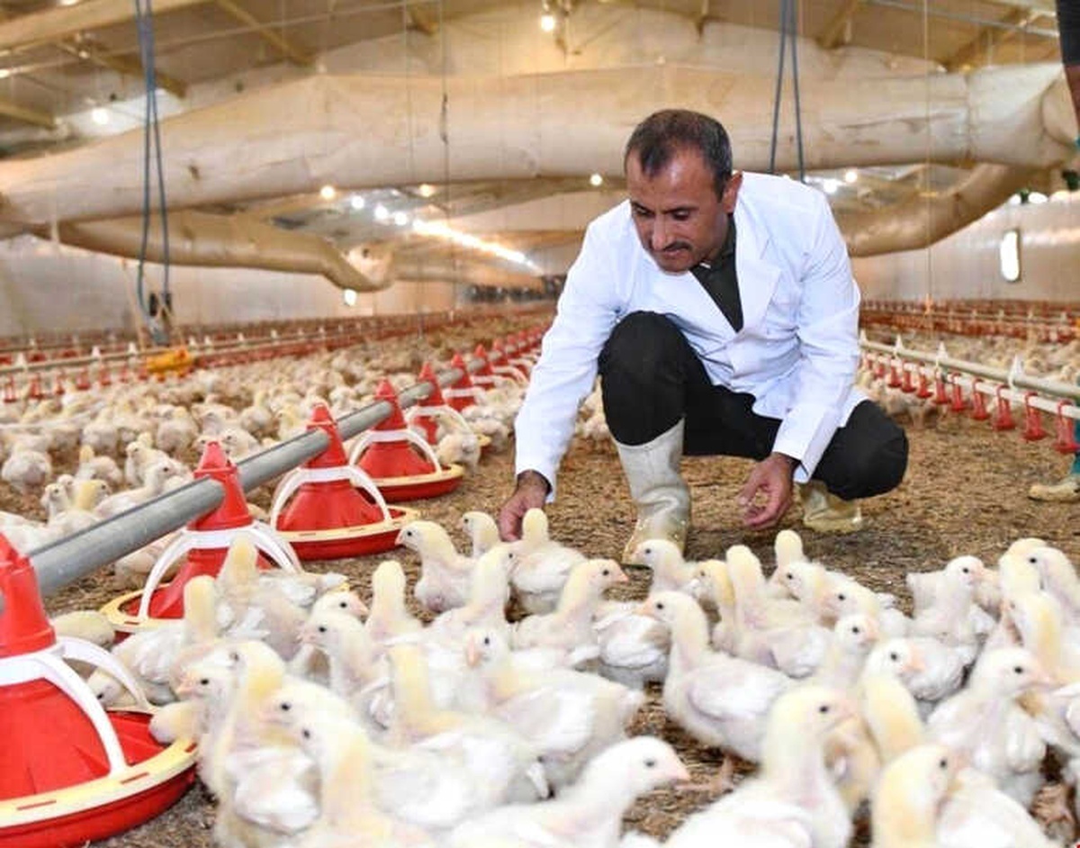 Vali Sonel, Köylerde Üreticileri Ziyaret Etti, Tesisleri İnceledi
