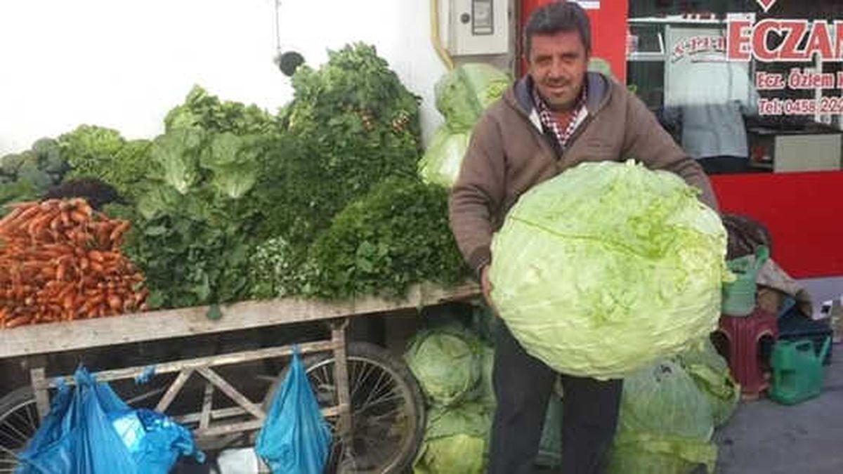 Bayburt Lahanası Tezgahlarda Yerini Aldı