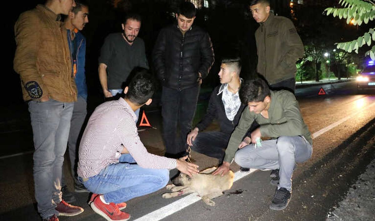 Gençlerden Örnek Davranış