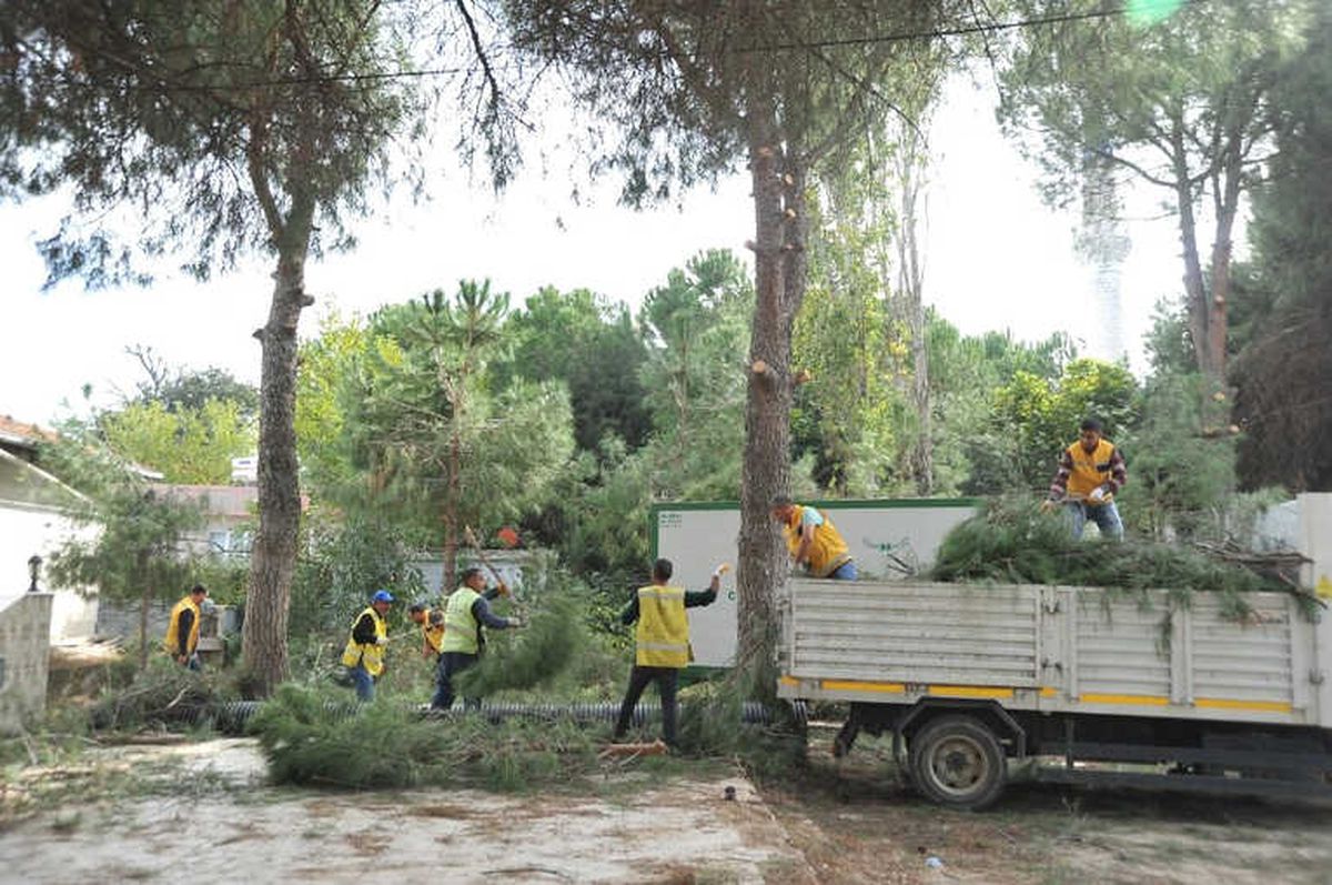 Hasköy\'e Büyükşehir Eli Değdi