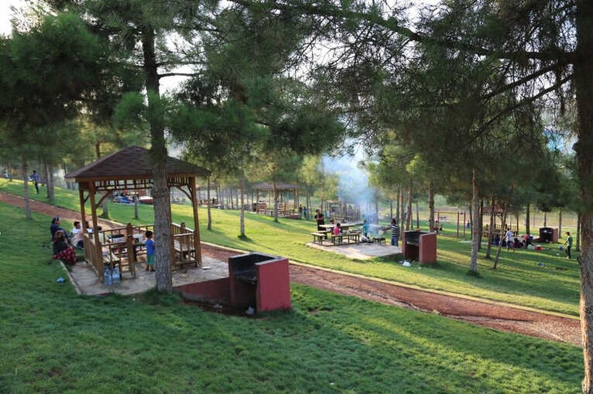 Şanlıurfa\'da Yeşillendirme Atağı