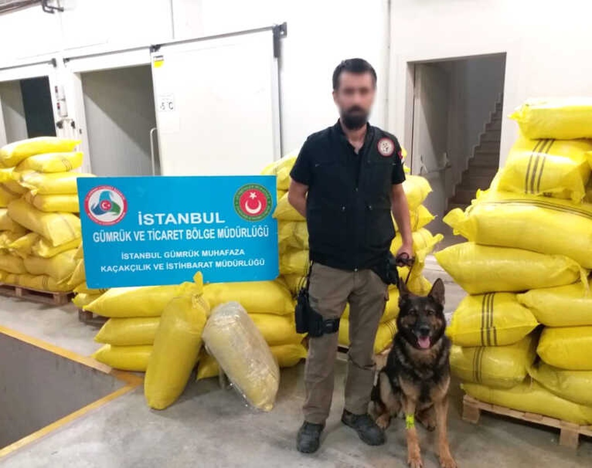 Sarımsak Tozu Arasında 60 Kilo Eroin Yakalandı