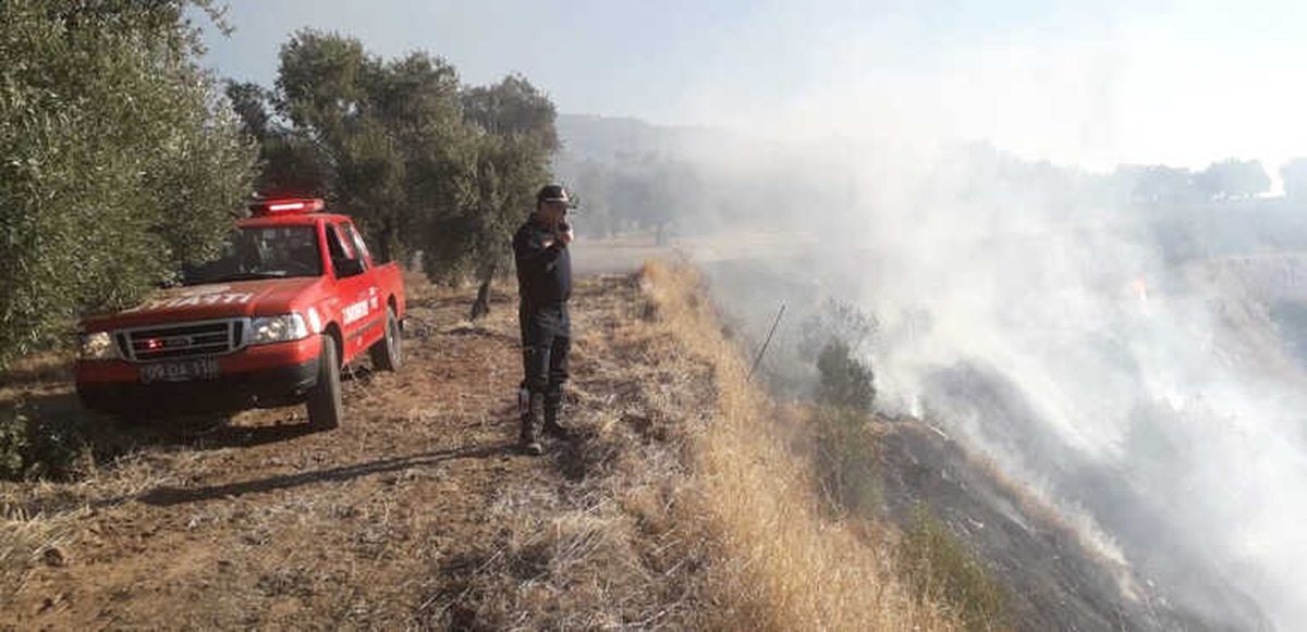 Aydın\'da Arazi Yangını