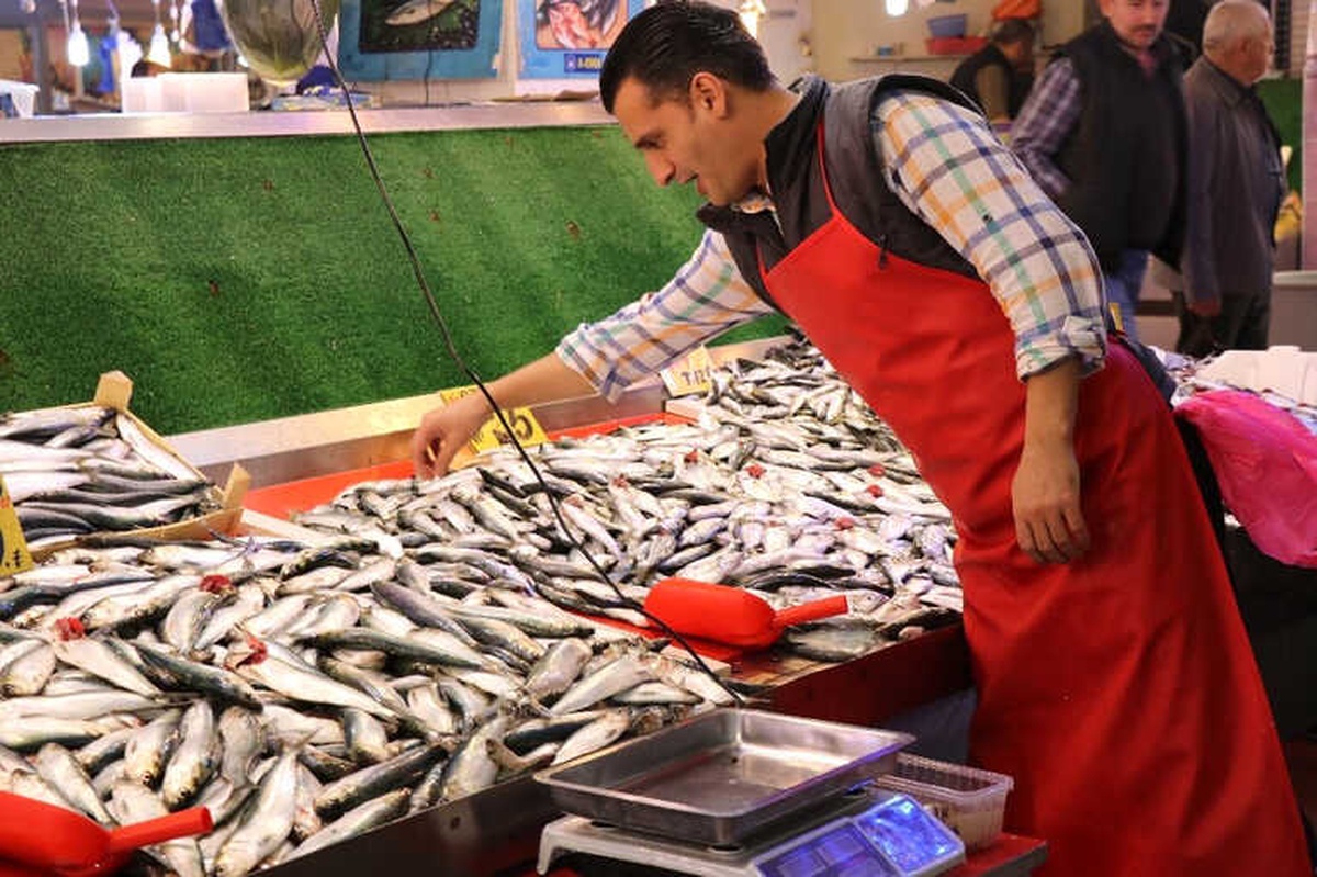Balık Bolluğu Esnafın Yüzünü Güldürüyor