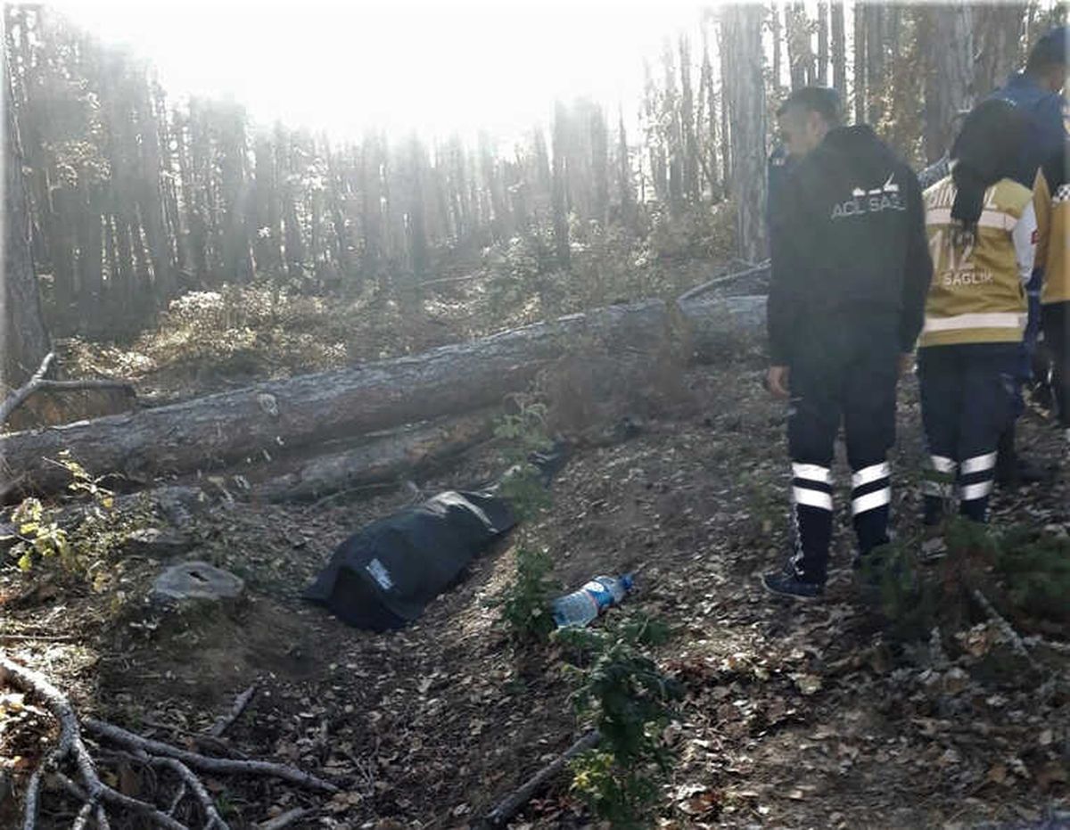 Odun Kesmek İçin Gittiği Ormanda Kalbine Yenik Düştü