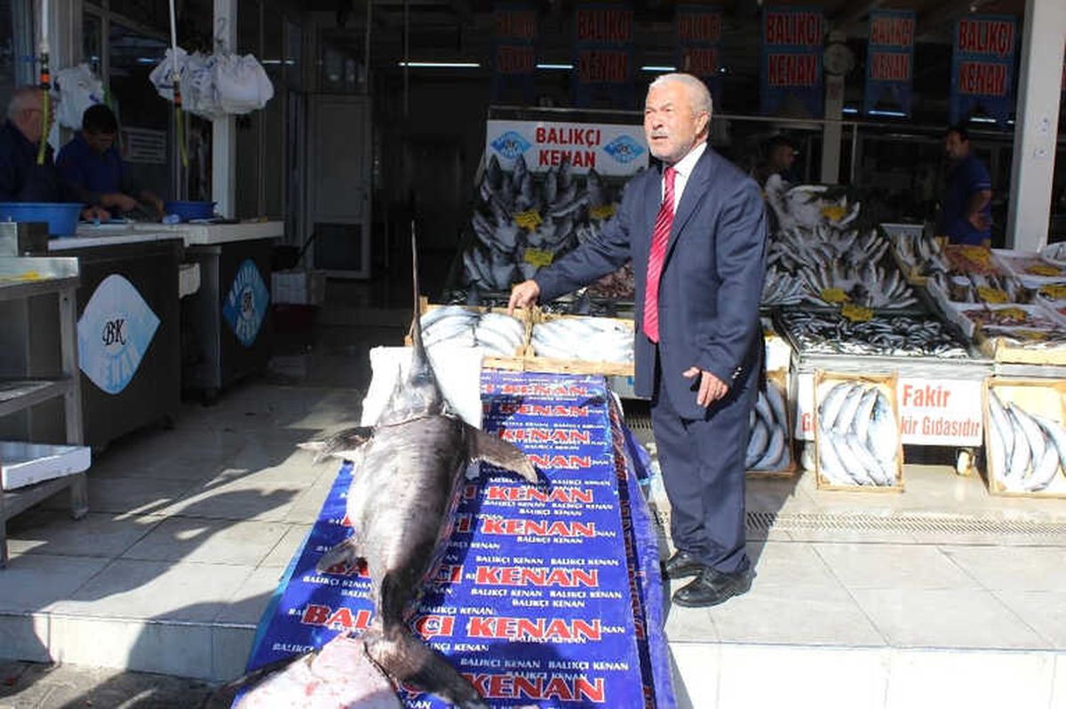Dev Kılıç Balığı Ağlara Takıldı