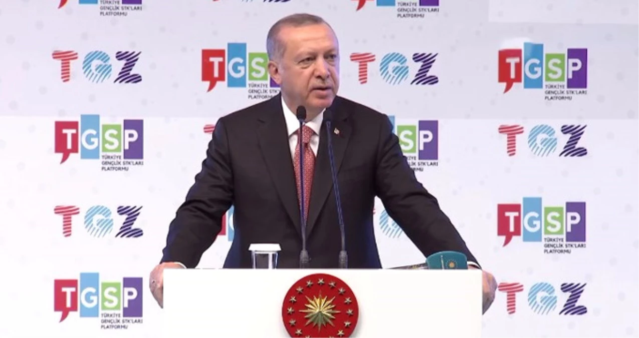 Erdoğan\'dan \'Andımız\' Çıkışı: Tartışmalar Kararlılığımızı Artırıyor
