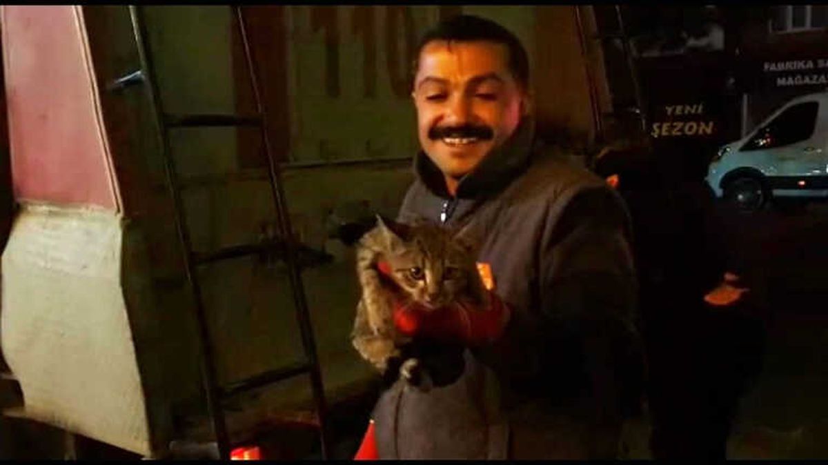 Tatvan\'da Kedi Kurtarma Operasyonu