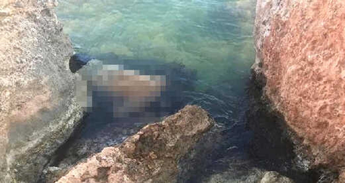 Didim\'de, Deniz Kenarındaki Kayalıklarda Kadın Cesedi Bulundu