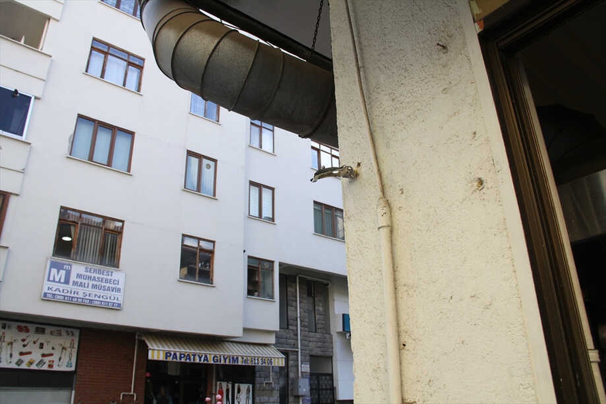 Düzce\'de Türk Bayraklarının Çalındığı İddiası