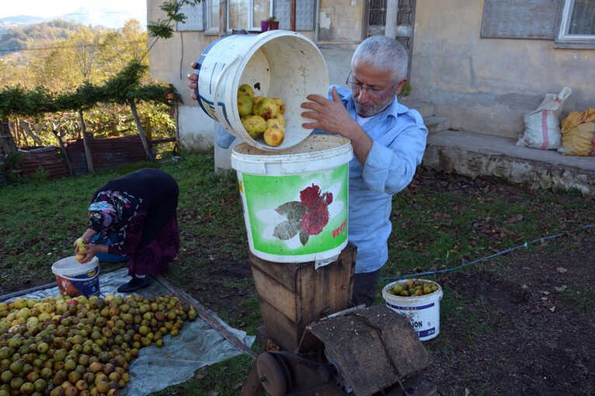Emekli Öğretmen Köyündeki Meyveleri Ekonomiye Kazandırdı