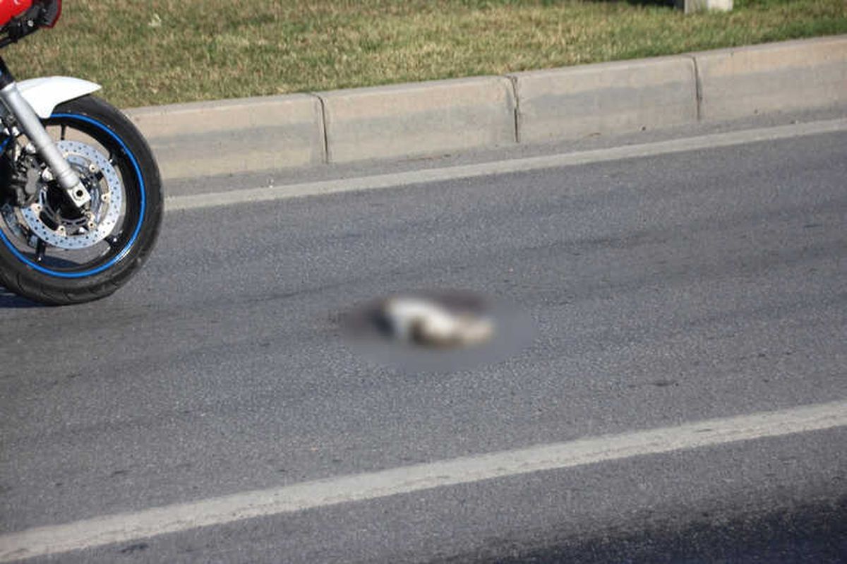 Her Şey Ona Çarpmamak İçin Oldu Ama