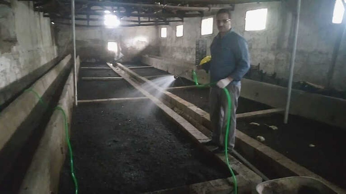 Solucanlardan Doğal Gübre Üretiyor