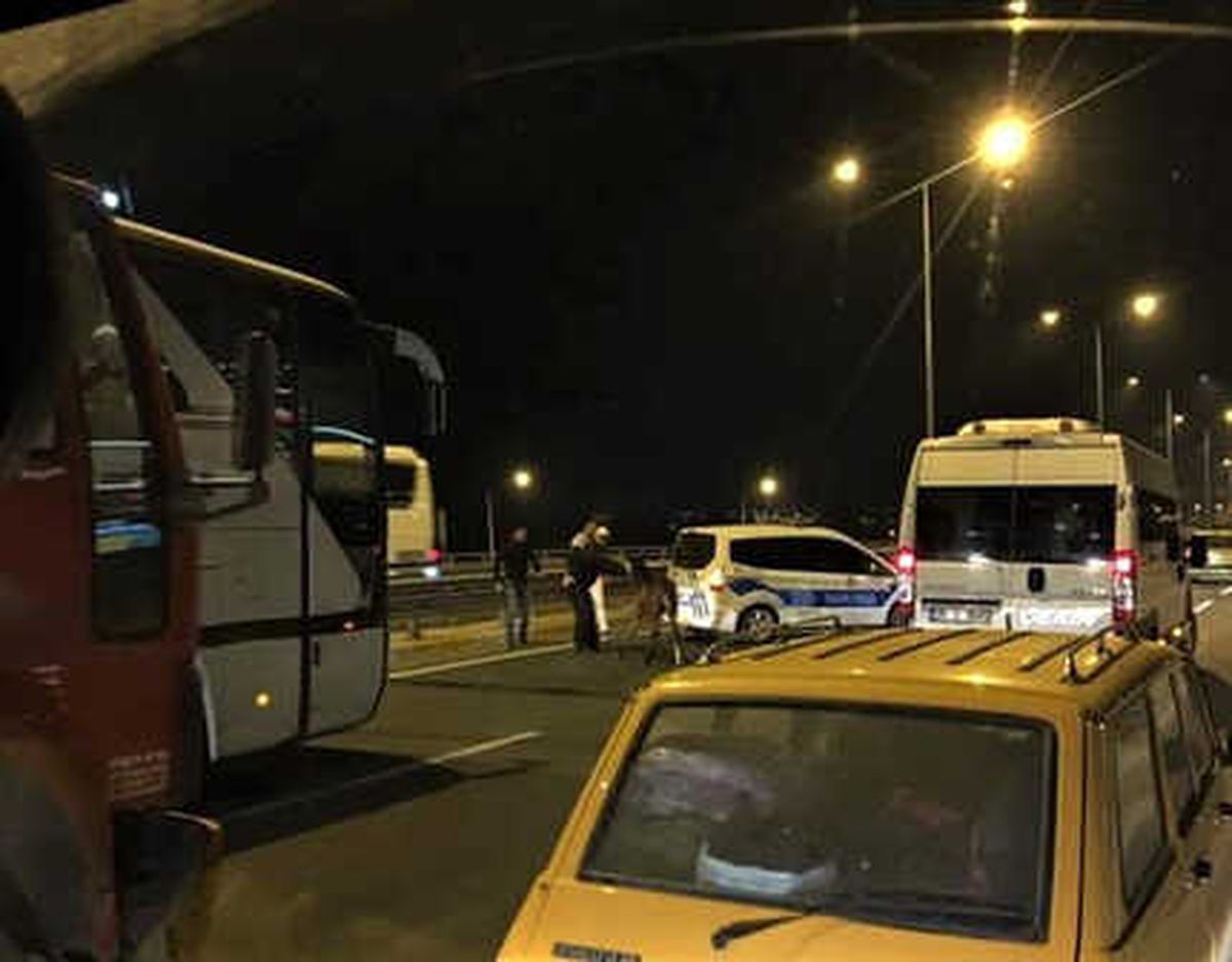 Başıboş Atlar Trafikte Tehlike Saçmaya Devam Ediyor