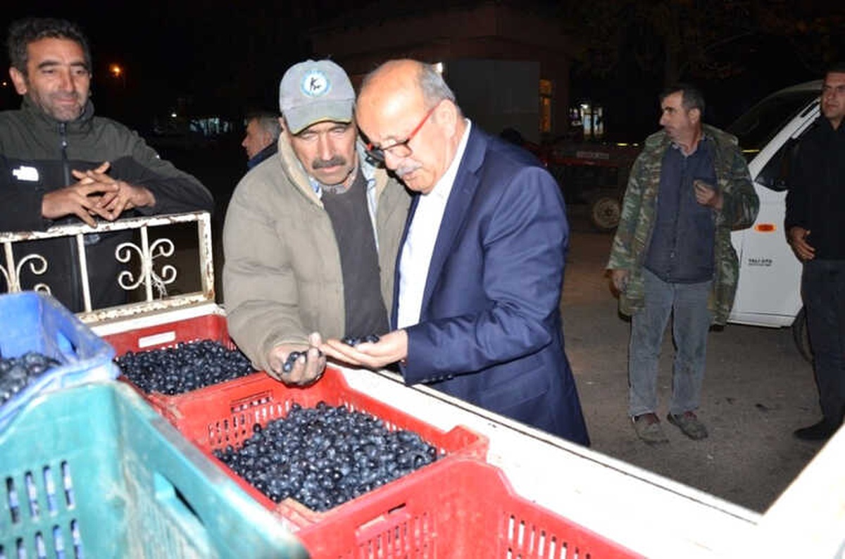 Başkan Sargın Zeytin Alım Merkezlerini Ziyaret Etti