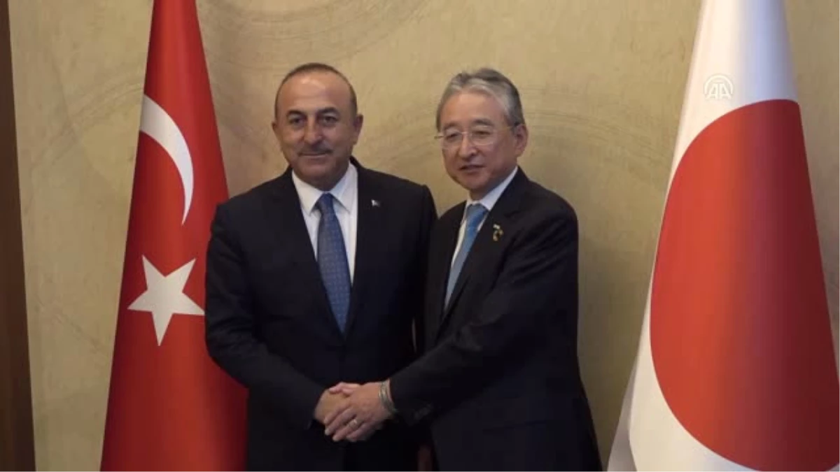 Dışişleri Bakanı Çavuşoğlu, Japon Ceo ve İşadamlarıyla Buluştu