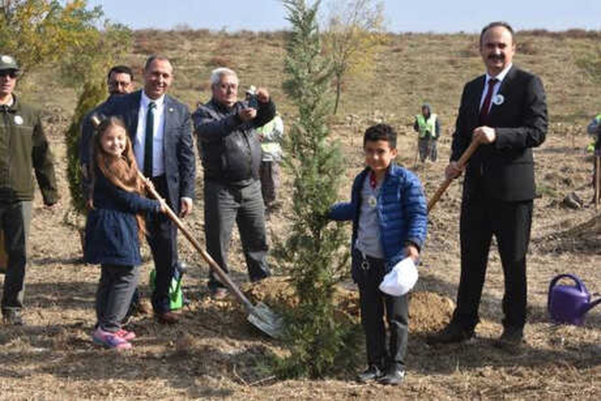 Görevliler, Toz Kalkmaması İçin Araziye Halı Serdi, Vali Kaldırttı