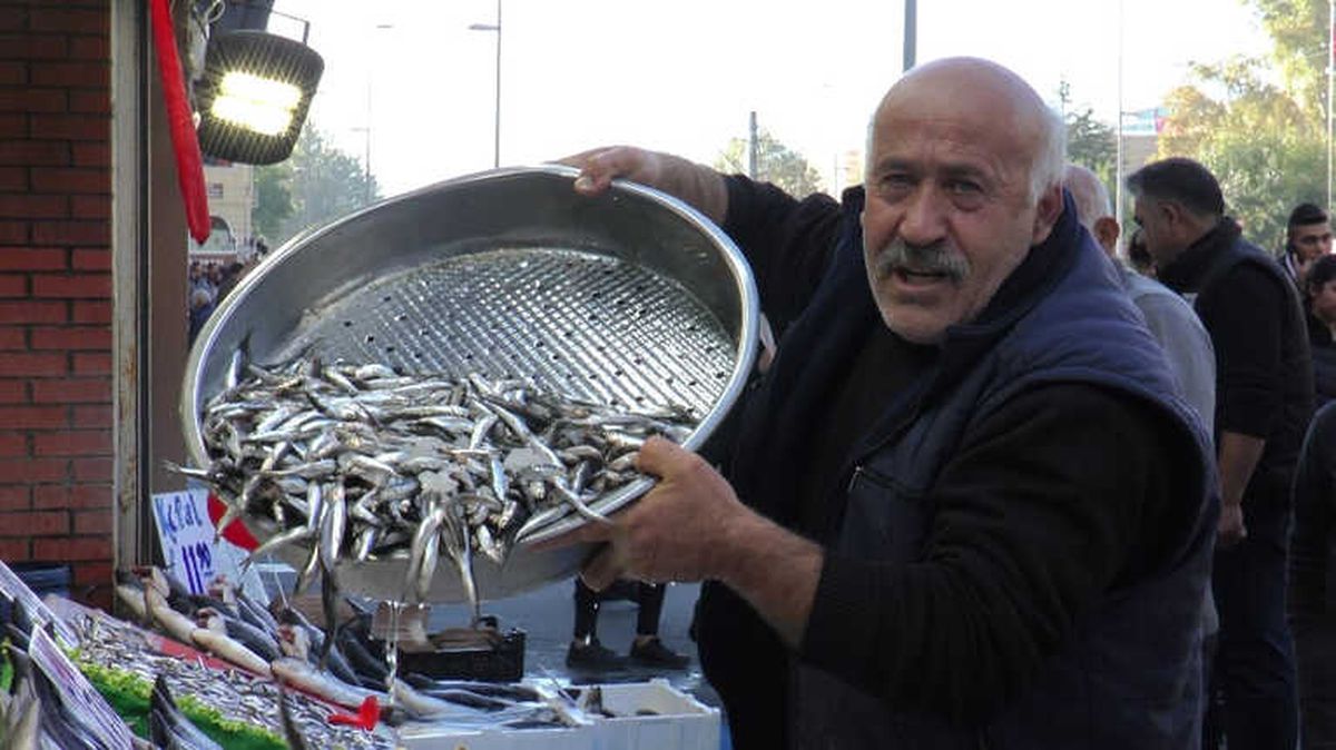 Hamsi Tezgaha Bereketiyle Düştü