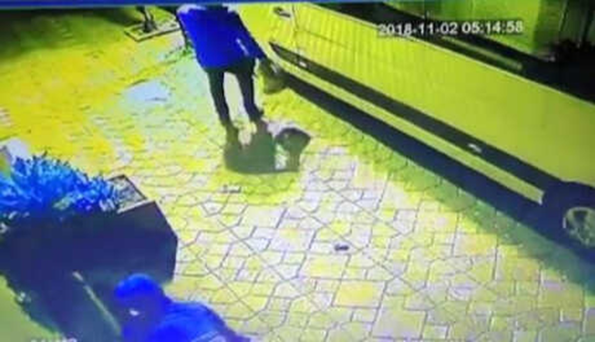 İstanbul\'da Hırsızlık Operasyonu: 8 Kişi Yakalandı