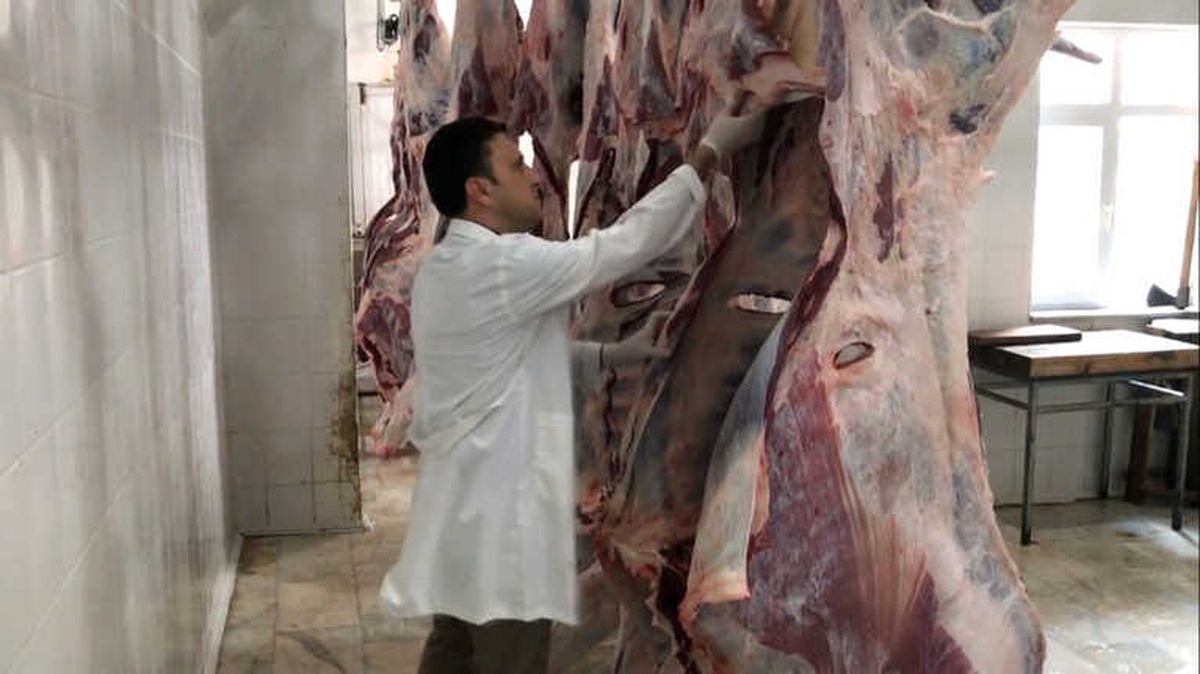 Kdz. Ereğli\'de Son 4,5 Yılda Yapılan Denetimler Neticesinde 4,5 Ton Et İmha Edildi