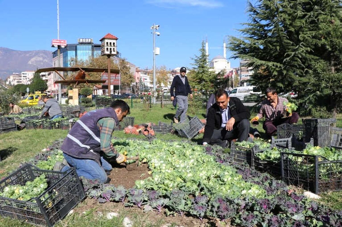 Safranbolu\'da Park ve Bahçeler Renkleniyor