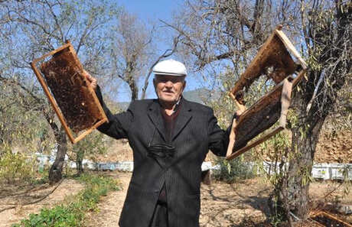 Sivrisinek İlaçlarının Arılarını Telef Ettiğini Söyledi