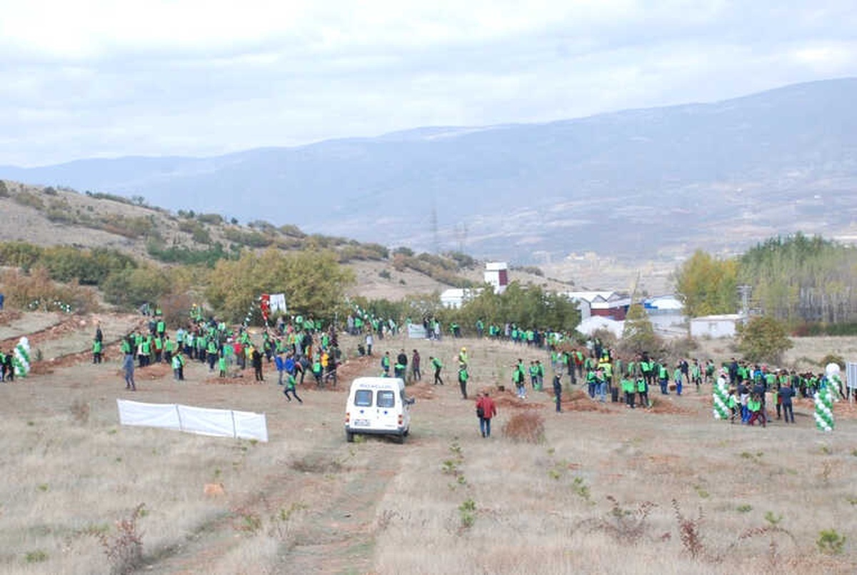Vali Balcı, Göreve Başladığı İlk Gün Fidan Dikti