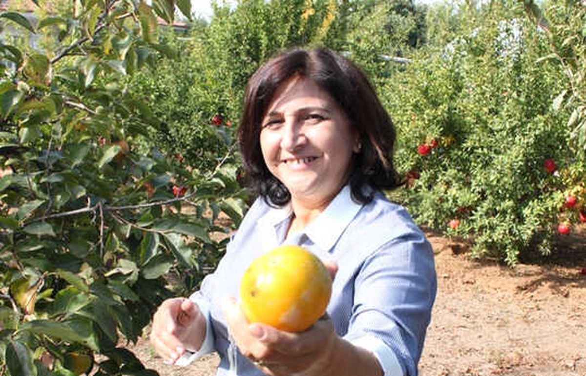 Anaokulunda Çiftlik Hayatı