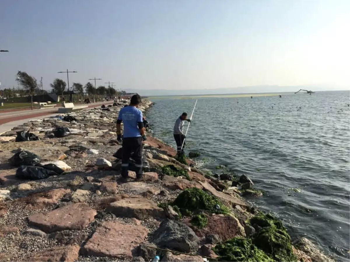 İzmir Körfezi\'nde Ürküten Görüntüden Rahatlatan Görüntüye